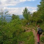Retour vers la Maison Forestière