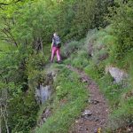 Montée vers le pas de Tartonne