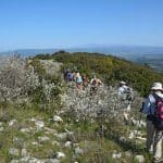 Vallon de la Calade