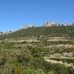 Dentelles