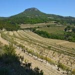 Dentelles