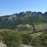 Dentelles