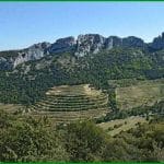 Dentelles