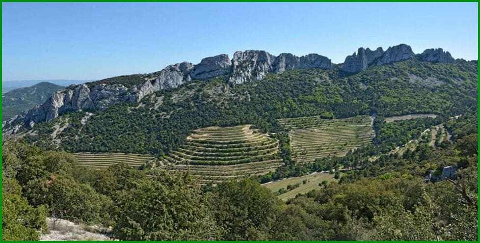 Dentelles