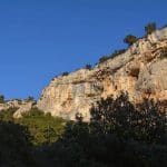 font-de-lorme-foret-de-cedres