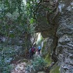 font-de-lorme-foret-de-cedres