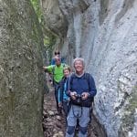 font-de-lorme-foret-de-cedres