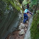 font-de-lorme-foret-de-cedres