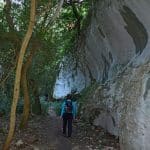 font-de-lorme-foret-de-cedres