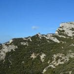 font-de-lorme-foret-de-cedres