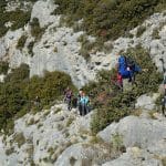 font-de-lorme-foret-de-cedres