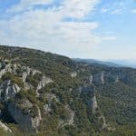 font-de-lorme-foret-de-cedres