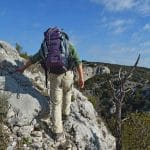 font-de-lorme-foret-de-cedres
