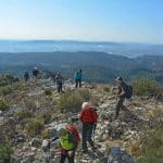 font-de-lorme-foret-de-cedres