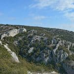font-de-lorme-foret-de-cedres