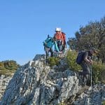 font-de-lorme-foret-de-cedres