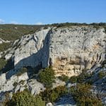 font-de-lorme-foret-de-cedres