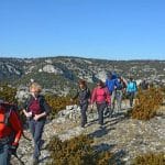 font-de-lorme-foret-de-cedres