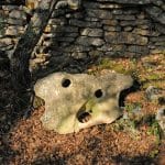 Combes de Mayaud et de Capellan