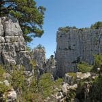Cadières de Brandis