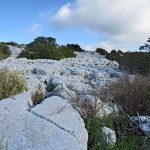 Le Grand Cap