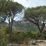 Rocher de Roquebrune