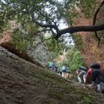 Rocher de Roquebrune