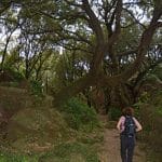 Rocher de Roquebrune