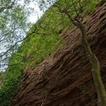Rocher de Roquebrune