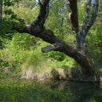 Gorges du Caramy