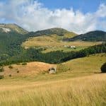 les-sucettes-de-bornes