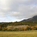 pas-du-clapiers