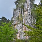 les-sucettes-de-bornes