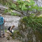 Gorges du Caramy