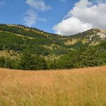 les-sucettes-de-bornes