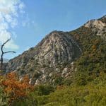 pas-du-clapiers