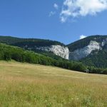les-sucettes-de-bornes