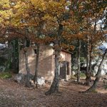 pas-du-clapiers