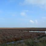 l'étang du Galabert