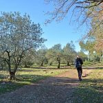 Les deux Bessillons