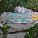 Le bois de Païolive