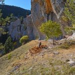 Vires de Sambardou