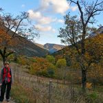 Vires de Sambardou
