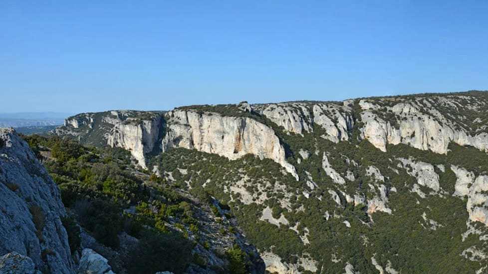 font-de-lorme-foret-de-cedres
