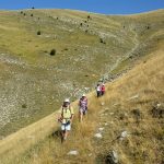 Tour des 3 Paturages