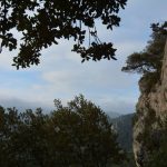Montagne de la Loube