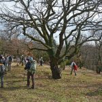 Boucle autour de Saignon