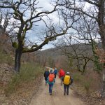 Boucle autour de Saignon