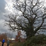 Boucle autour de Saignon