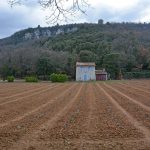 Boucle autour de Saignon